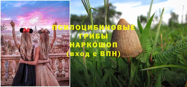 эйфоретик Алексин