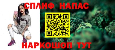 apvp Владикавказ