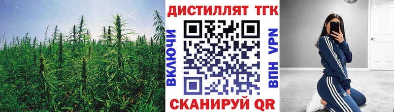 купить   Борзя  ТГК THC oil 