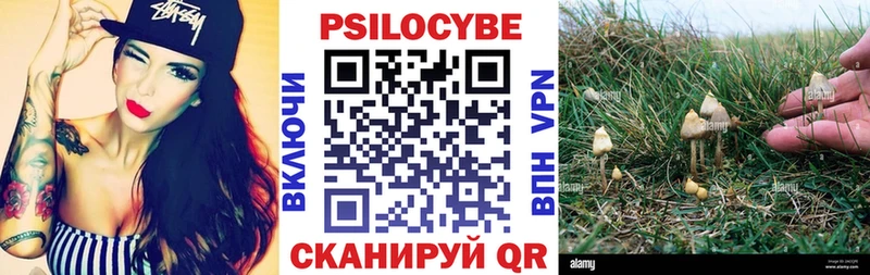 Псилоцибиновые грибы MAGIC MUSHROOMS где можно купить наркотик MEGA зеркало Борзя