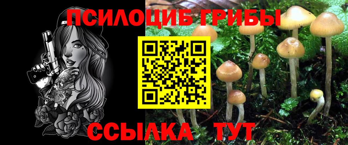 Борзя  Галлюциногенные грибы MAGIC MUSHROOMS  Вход с VPN 